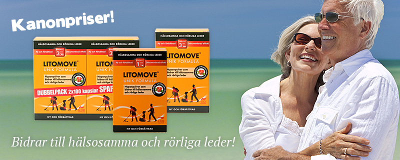 Kanonpriser på Litomove!
