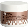 Salva