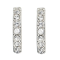 Small Crystal Creole Earrings