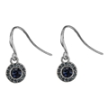 Dangle Crystal Earring