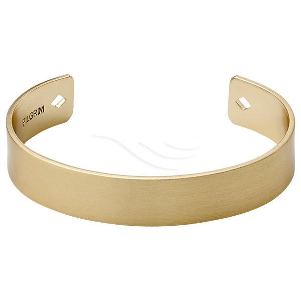 Thrill Of Life Bracelet - Gold Plated