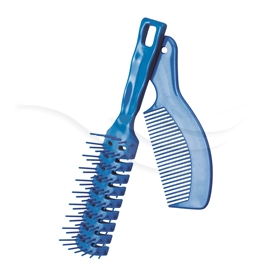 42 006 Comb And Brush Set