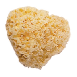 Natural Bath Sponge Small