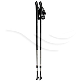 Nordic walking sticks