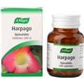 Harpago