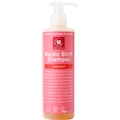 Nordic Birch Shampoo dandruff