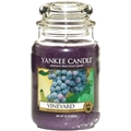 Jar Vineyard