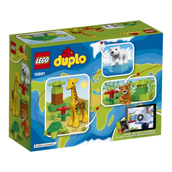 10801 LEGO DUPLO Djurungar (Bild 3 av 3)