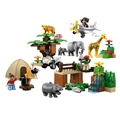 6156 Safari