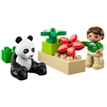 6173 Panda