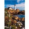 Pussel 1000 Bitar Portland Head