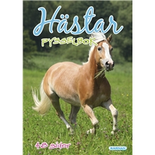 Pysselbok Hästar