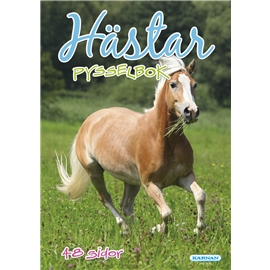Pysselbok Hästar