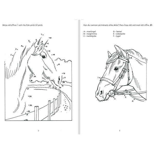 Pysselbok Hästar (Bild 3 av 3)