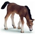 Schleich Arabföl, Betande