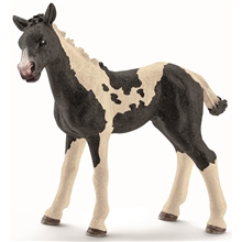 Schleich Ettårigt Pintoföl