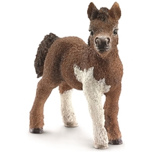 Schleich Shetlandsföl