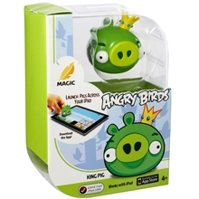 Apptivity Game - Angry Birds Y2826
