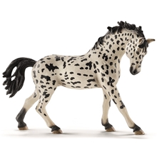 Schleich Knabstruppersto