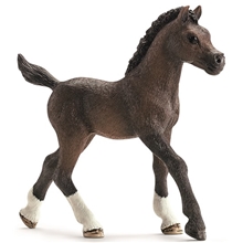 Schleich Arab Föl