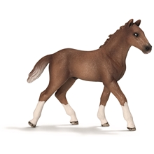 Schleich Hannover Föl