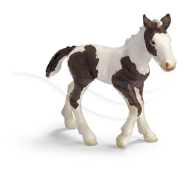 Schleich Tinker, Föl