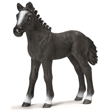 Schleich Lipizzanerföl
