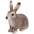 Schleich Vildkanin