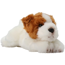 Mjukis Teddix Terrier
