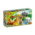 4962 Babyzoo