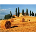 Pussel 2000 Bitar Toscana