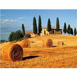 Pussel 2000 Bitar Toscana
