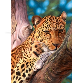 Pussel 500 Bitar Leopard