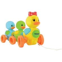 Ankfamilj