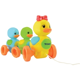 Ankfamilj
