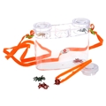 Alga 3D Bugs Viewer