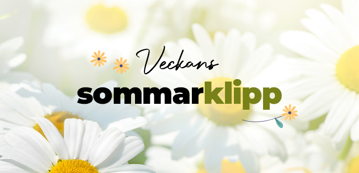 Sommarklipp