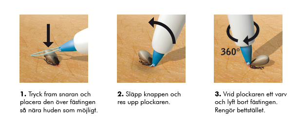  border=