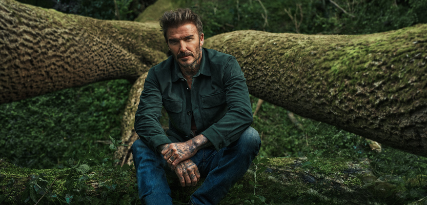 David Beckham - upp till 40% rabatt