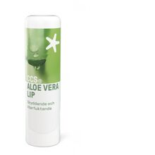 CCS Aloe Vera Lip 5 gram