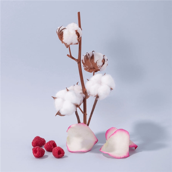 Hand & Body Lotion Cotton Flower (Bild 2 av 3)
