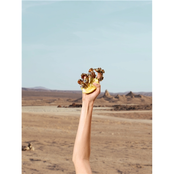 Q by Dolce&Gabbana - Eau de parfum (Bild 4 av 7)