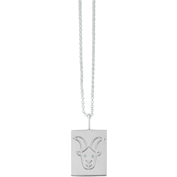 Zodiac by Design Letters - Capricorn (Bild 1 av 3)