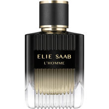 Elie Saab L'Homme - Eau de parfum 100 ml