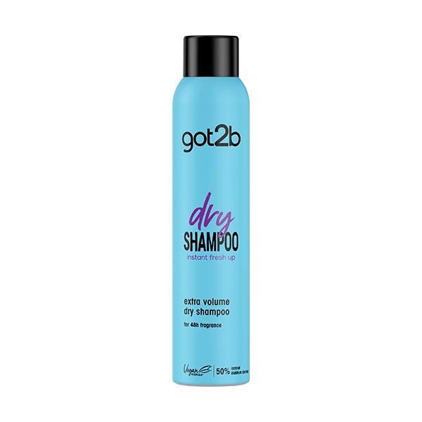 Got2B Fresh It Up Volume Dry Shampoo