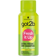 100 ml - Got2B Mini Fresh It Up Dry Shampoo