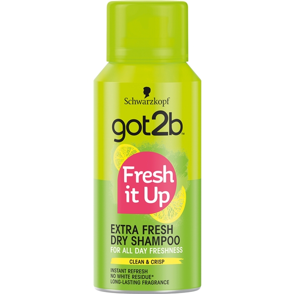 Got2B Mini Fresh It Up Dry Shampoo