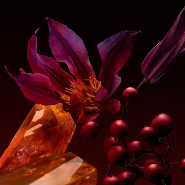 Boss The Scent For Her Elixir - Eau de parfum (Bild 5 av 8)