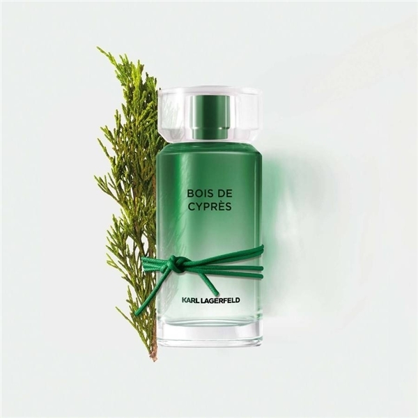 Bois de Cyprès - Eau de toilette (Bild 5 av 6)