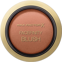 Facefinity Blush 2 gram
